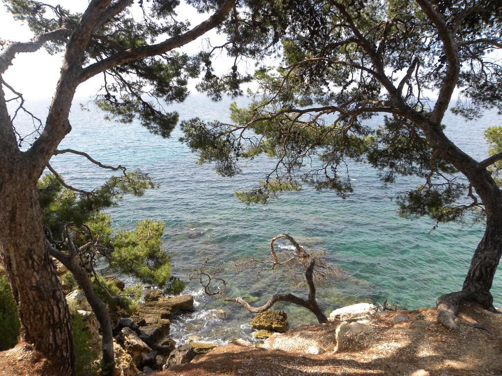 Sun & Sea Apart Bandol Exteriör bild